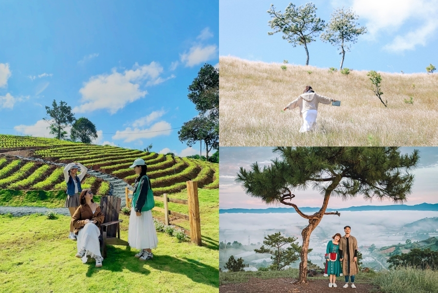 Phương tiện di chuyển trong hành trình du lịch Đà Lạt