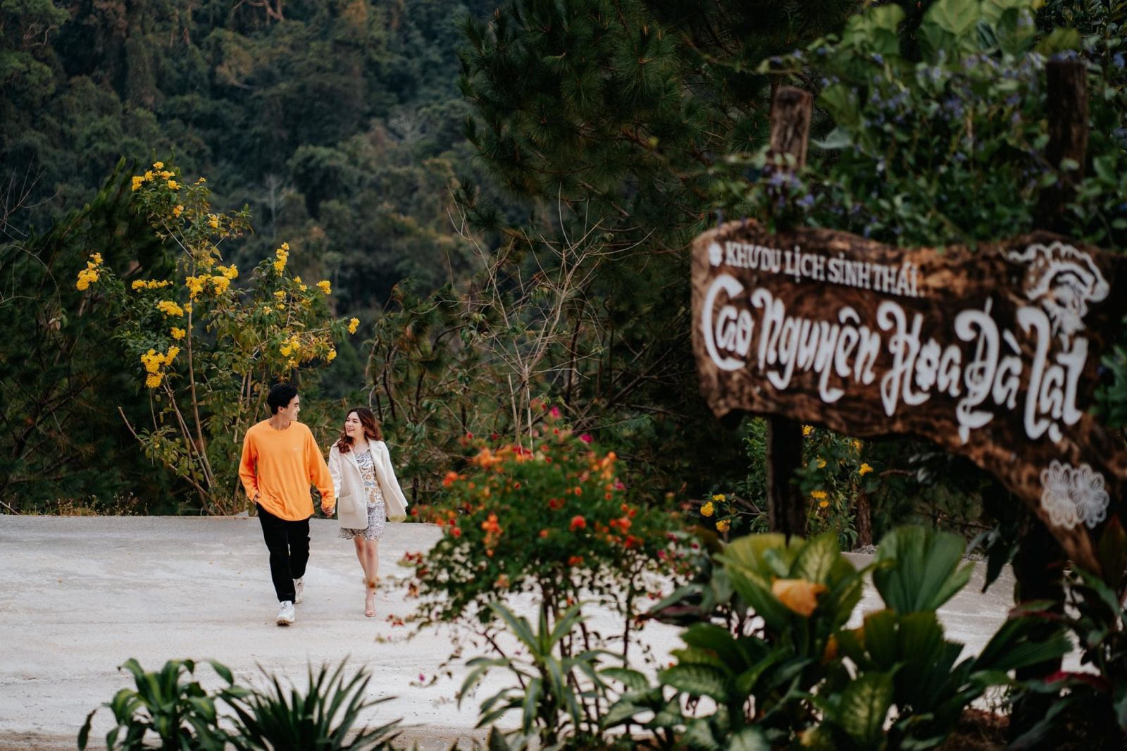 Các địa điểm du lịch Đà Lạt đáng ghé thăm nhất 2026