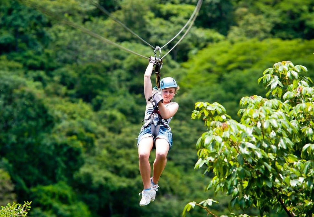 Trượt zipline và chinh phục ngọn cây với trò highwire
