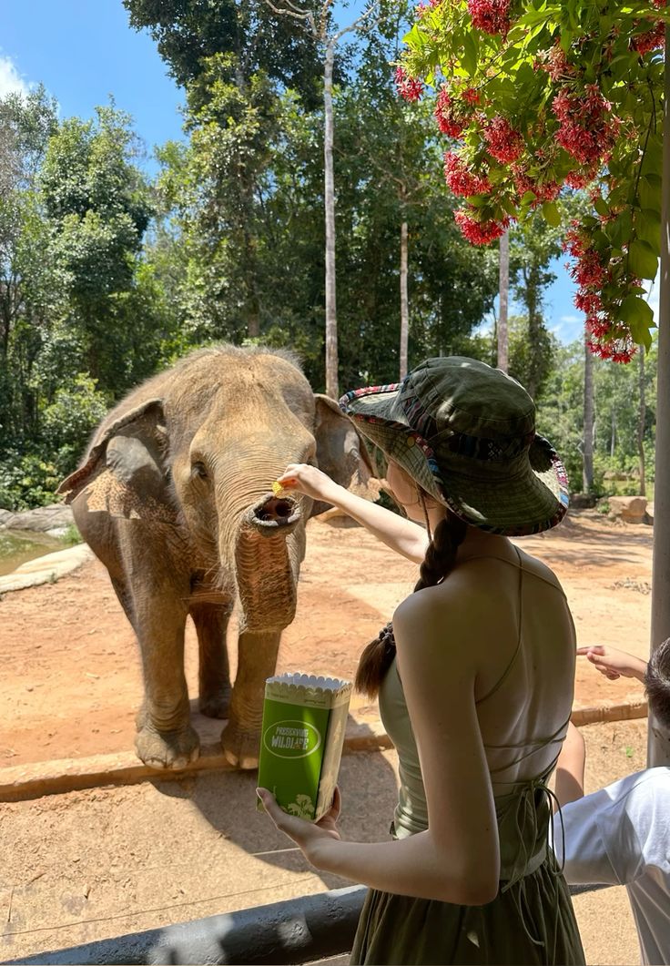 Vinpearl Safari Phú Quốc