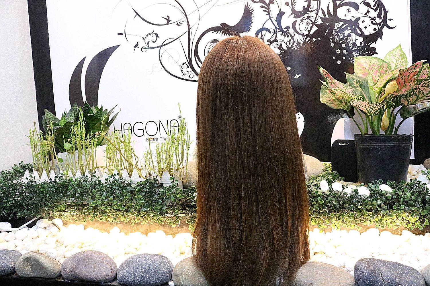 Kinh nghiệm lựa chọn tóc giả nguyên đầu cho bé gái | Tóc Giả Hagona