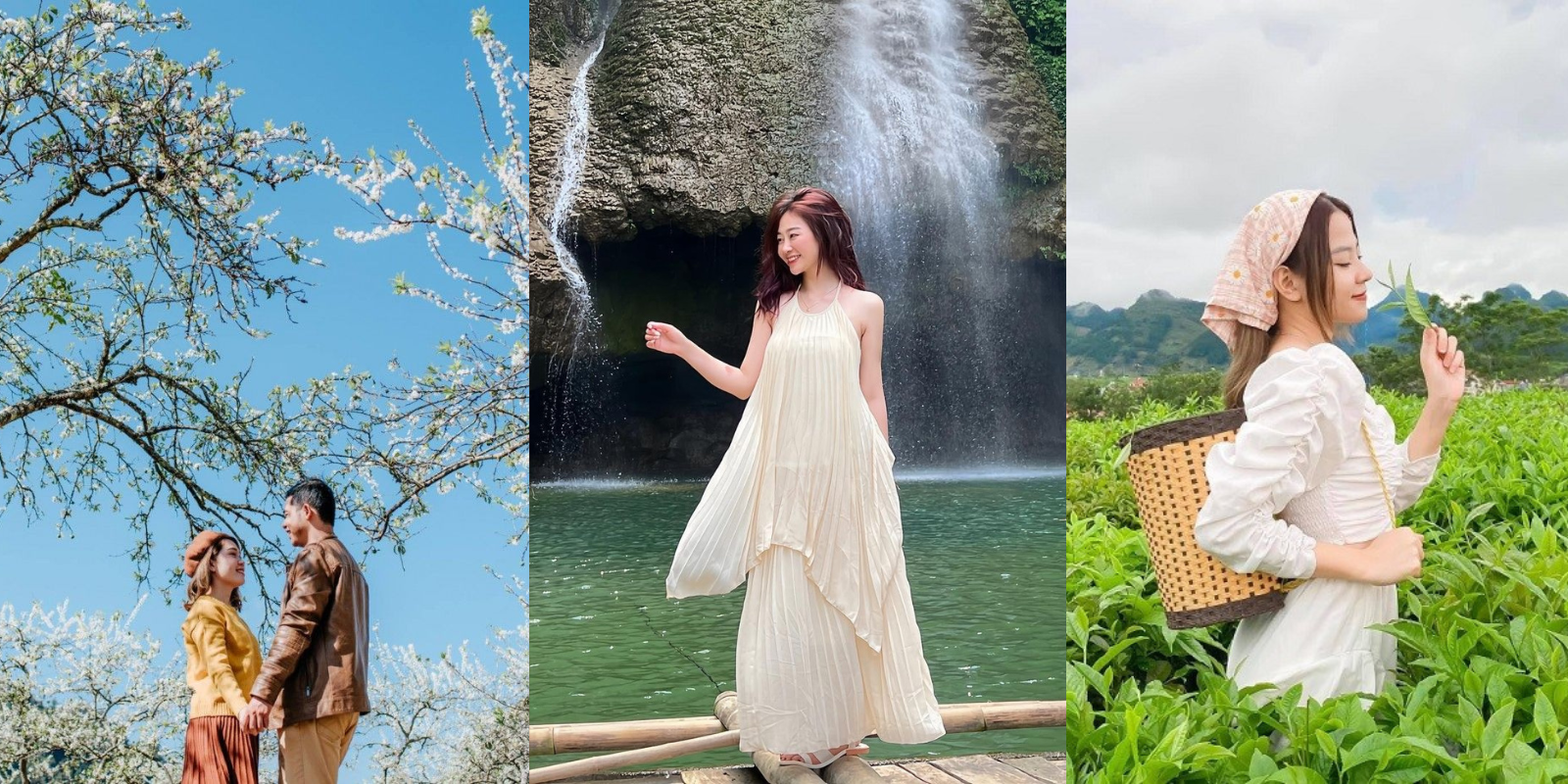 Du lịch Mộc Châu: Cẩm nang khám phá cao nguyên xanh Tây Bắc